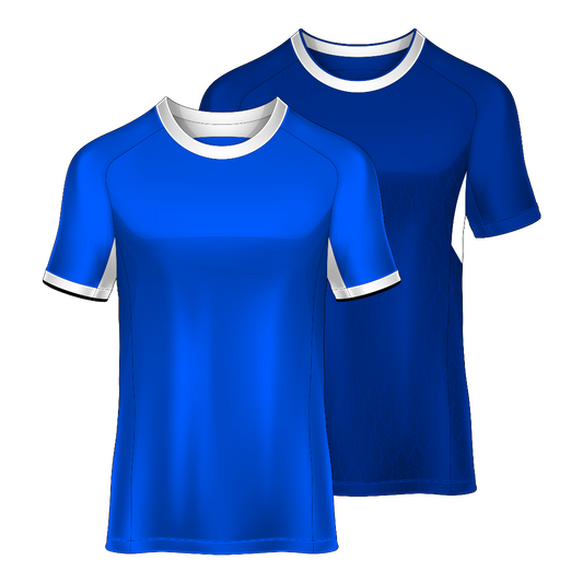 Rangers FC v Falkirk